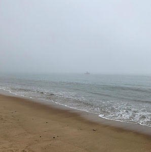 Meet your Posher, Suzanne